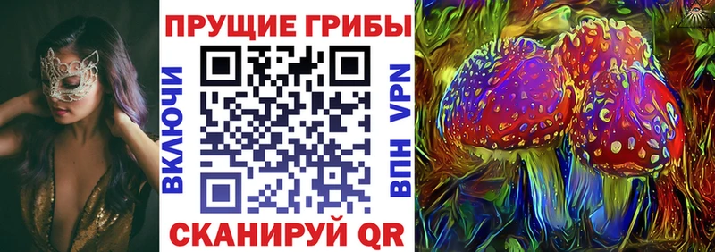 Купить  Горно-Алтайск  Галлюциногенные грибы мицелий 